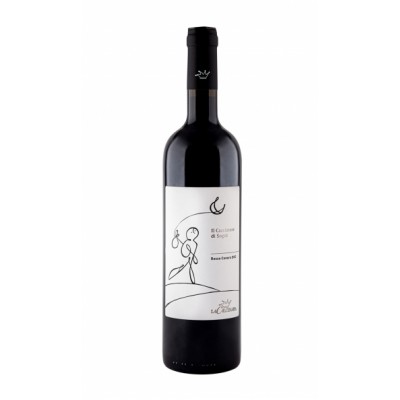 vino rosso conero DOC