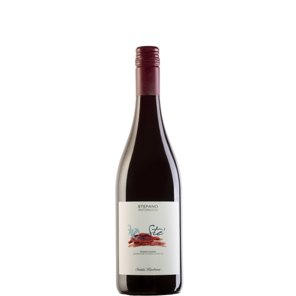 Vino rosso Piceno DOC - Stè Vino rosso Piceno DOC - Stè